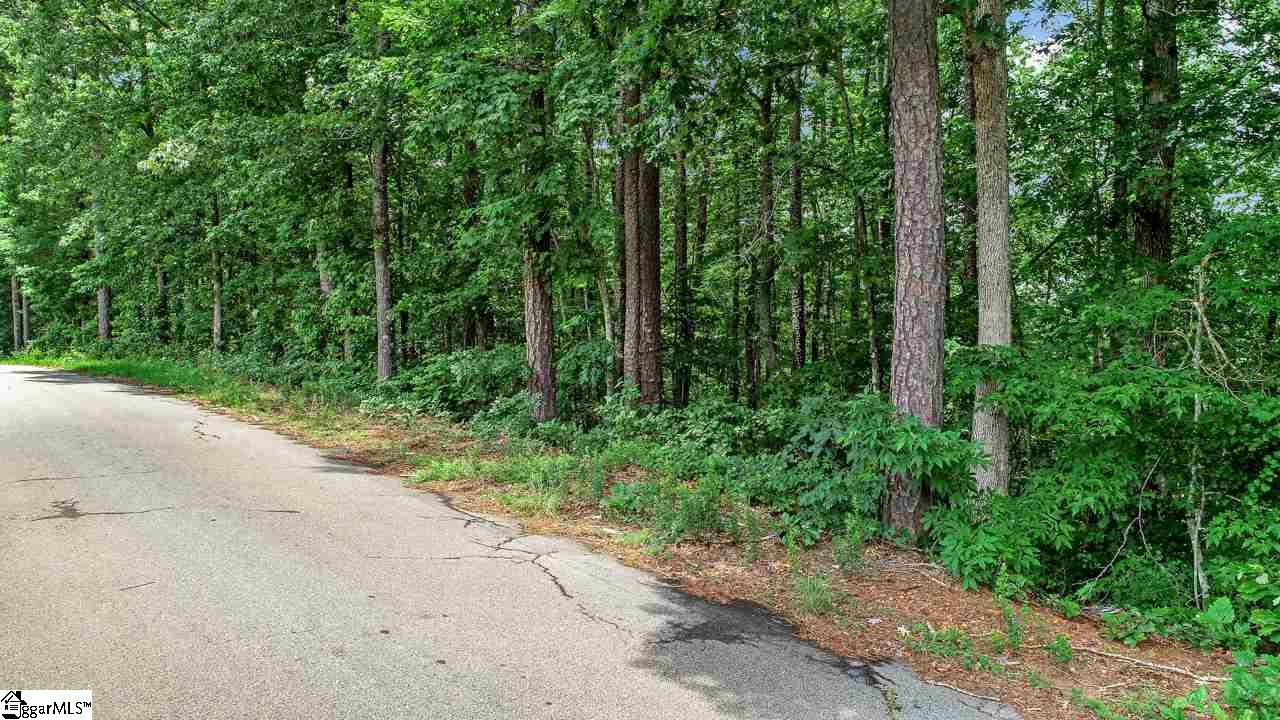 Left Fork Road Pickens, SC 29671 - Photo 3 of 8