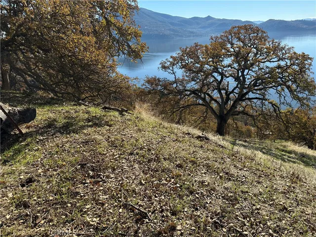 a view of a mountain with a tree in the background