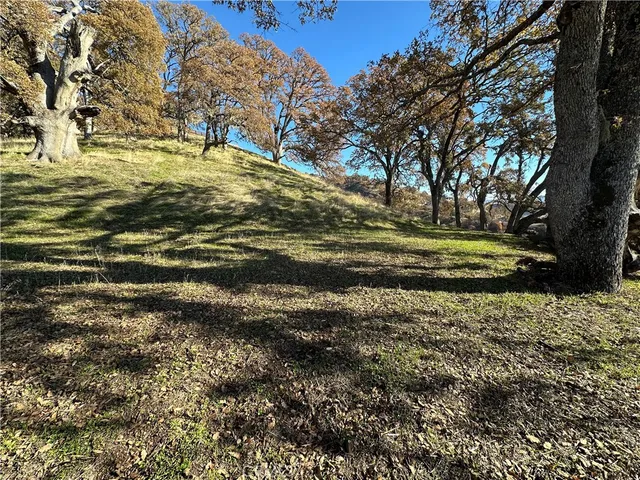 a view of a yard with an trees