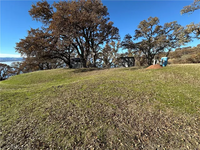 a view of a field with trees