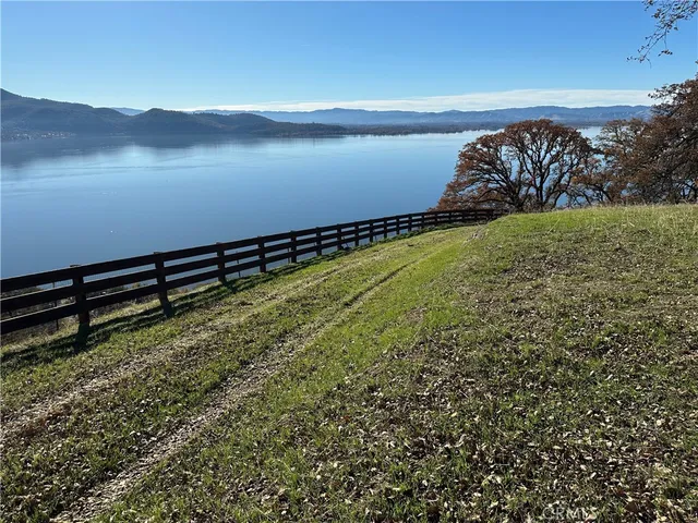 a view of a pathway of a yard