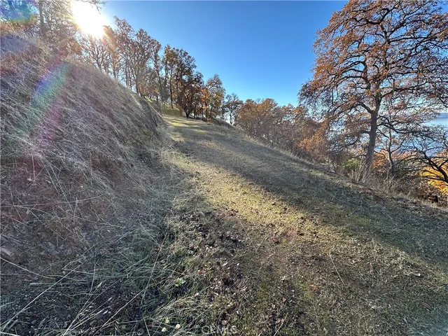 a view of a yard with large trees