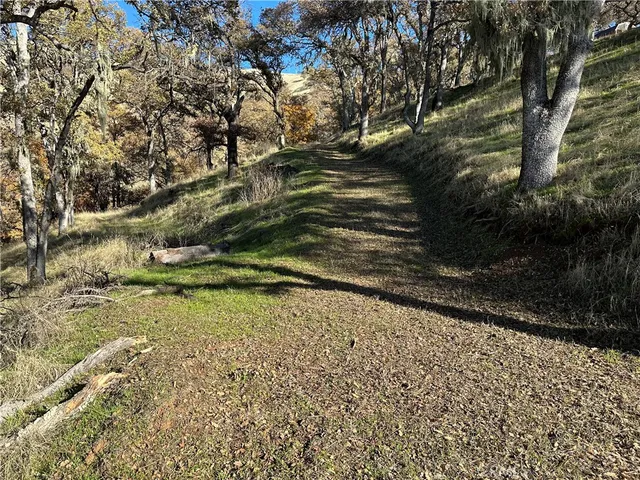 a view of a yard with wooden fence