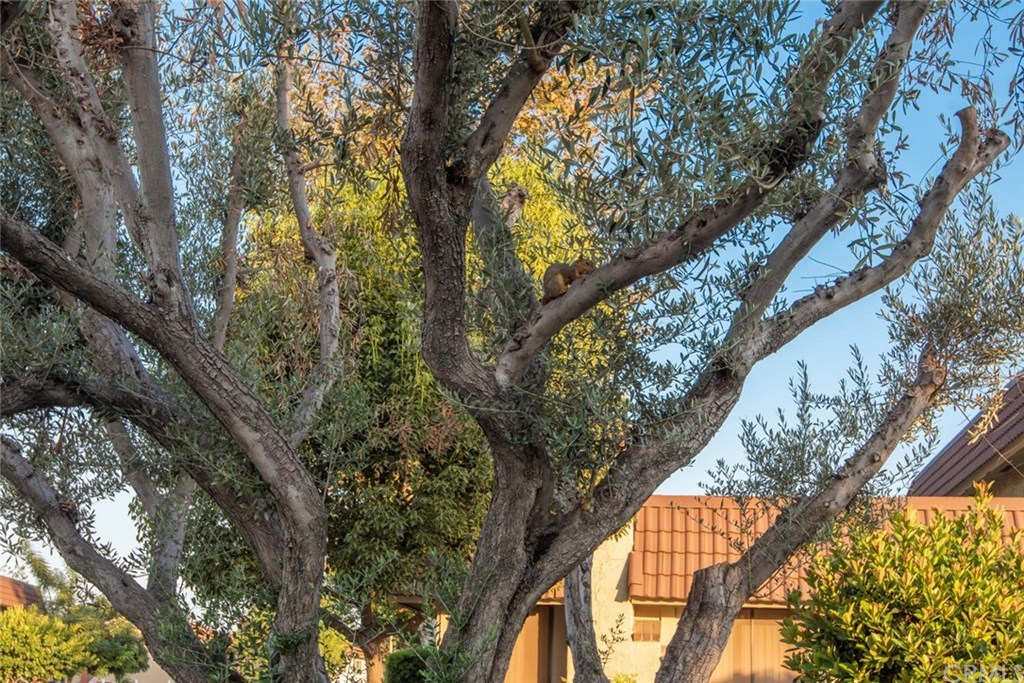 6565 Tangier Way Cypress, CA 90630 - Photo 70 of 71