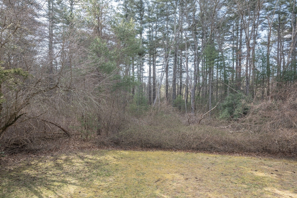 22 Dinahs Way Wareham, MA 02571 - Photo 41 of 42 a view of a yard with large trees