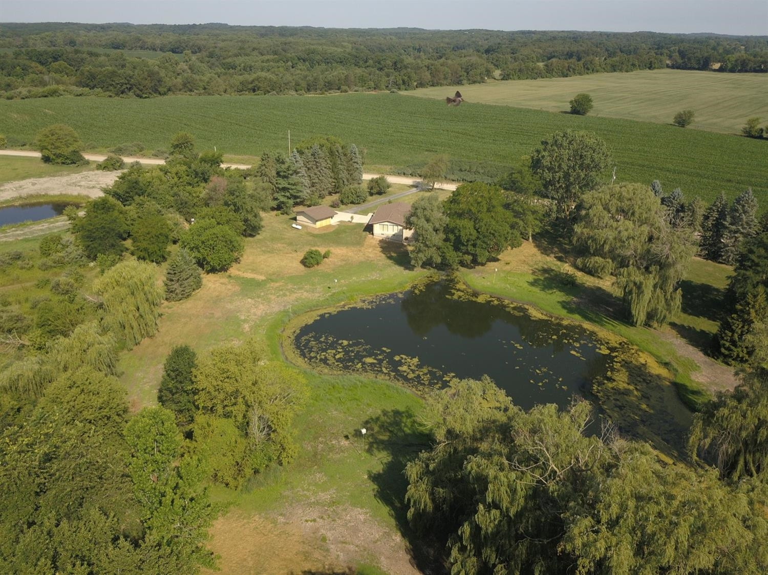 4221 Wyman Road Tipton, MI 49287 - Photo 10 of 46 Photo 10