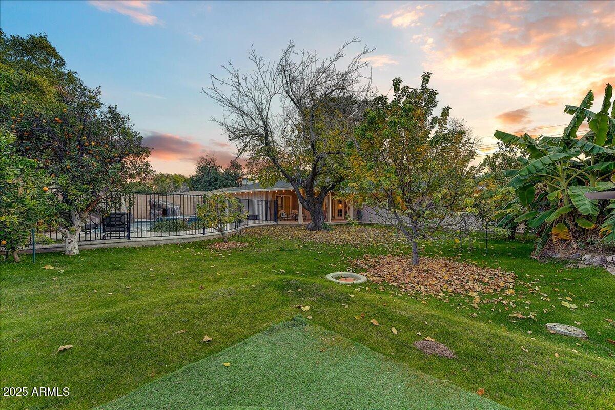 4034 East Osborn Road Phoenix, AZ 85018 - Photo 54 of 66 36-Backyard