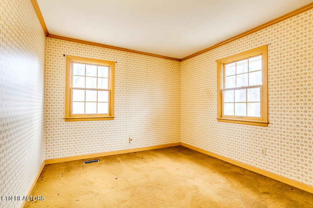 52 Deer Ridge Road Norris, TN 37828 - Photo 16 of 31 031260303-1-52DeerRidgeRdNorrisTn-downst
