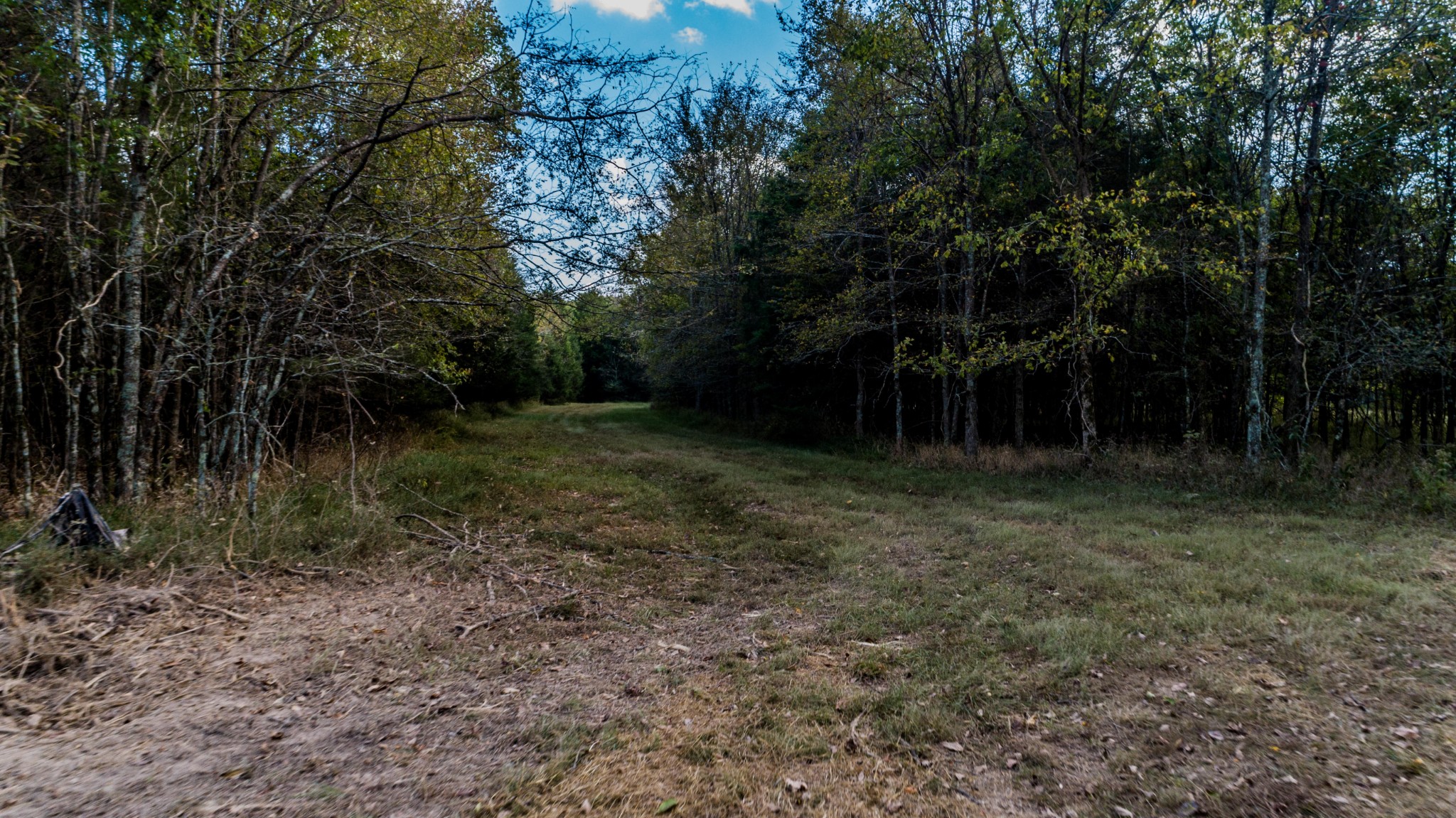 3 Thick Road Chapel Hill, TN 37034 - Photo 3 of 5 Gallery Image 3