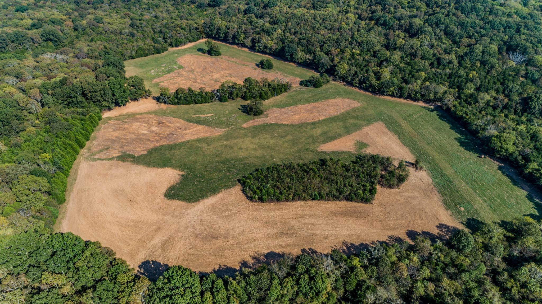 3 Thick Road Chapel Hill, TN 37034 - Photo 4 of 5 Gallery Image 4