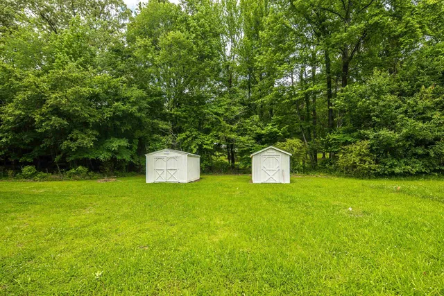 a view of a trees with a park