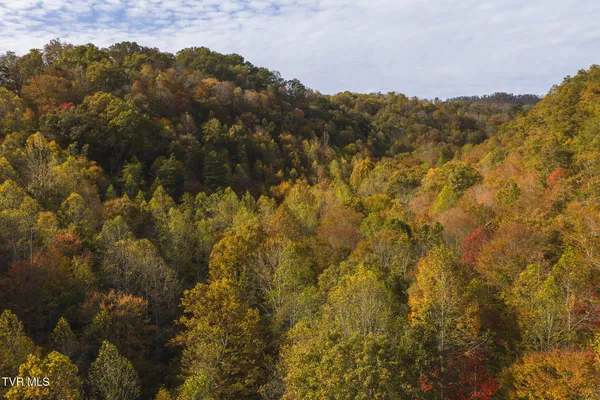 $195,000 | 89-acres Lynn Flanary Road, Blackwater, VA 24221