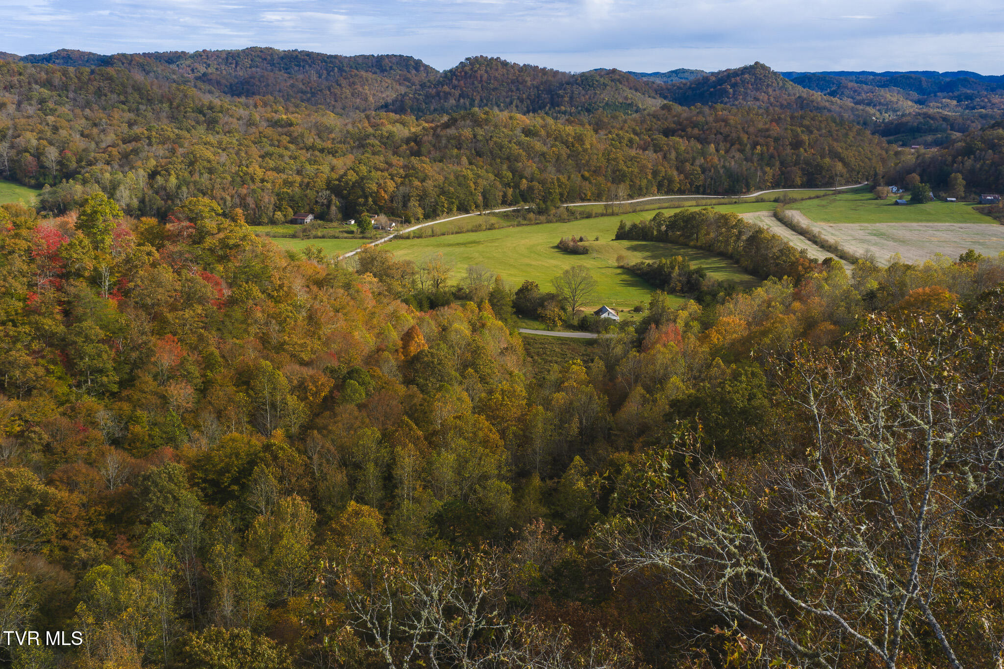 89-acres Lynn Flanary Road Blackwater, VA 24221 - Photo 3 of 6 DJI_20251025153346_0120_D