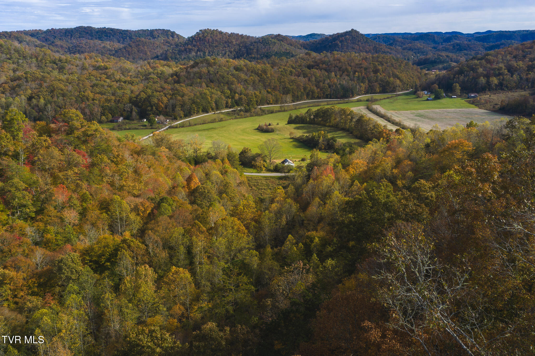 89-acres Lynn Flanary Road Blackwater, VA 24221 - Photo 4 of 6 DJI_20251025153419_0122_D