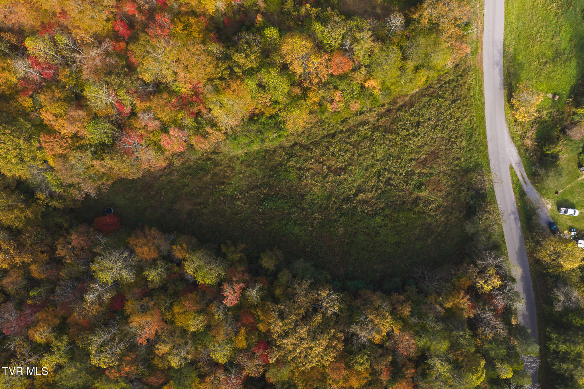 89-acres Lynn Flanary Road Blackwater, VA 24221 - Photo 6 of 6 DJI_20251025153538_0126_D