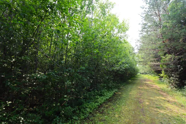 $59,900 | 28-xx Junction Road, Ashland, WI 54806
