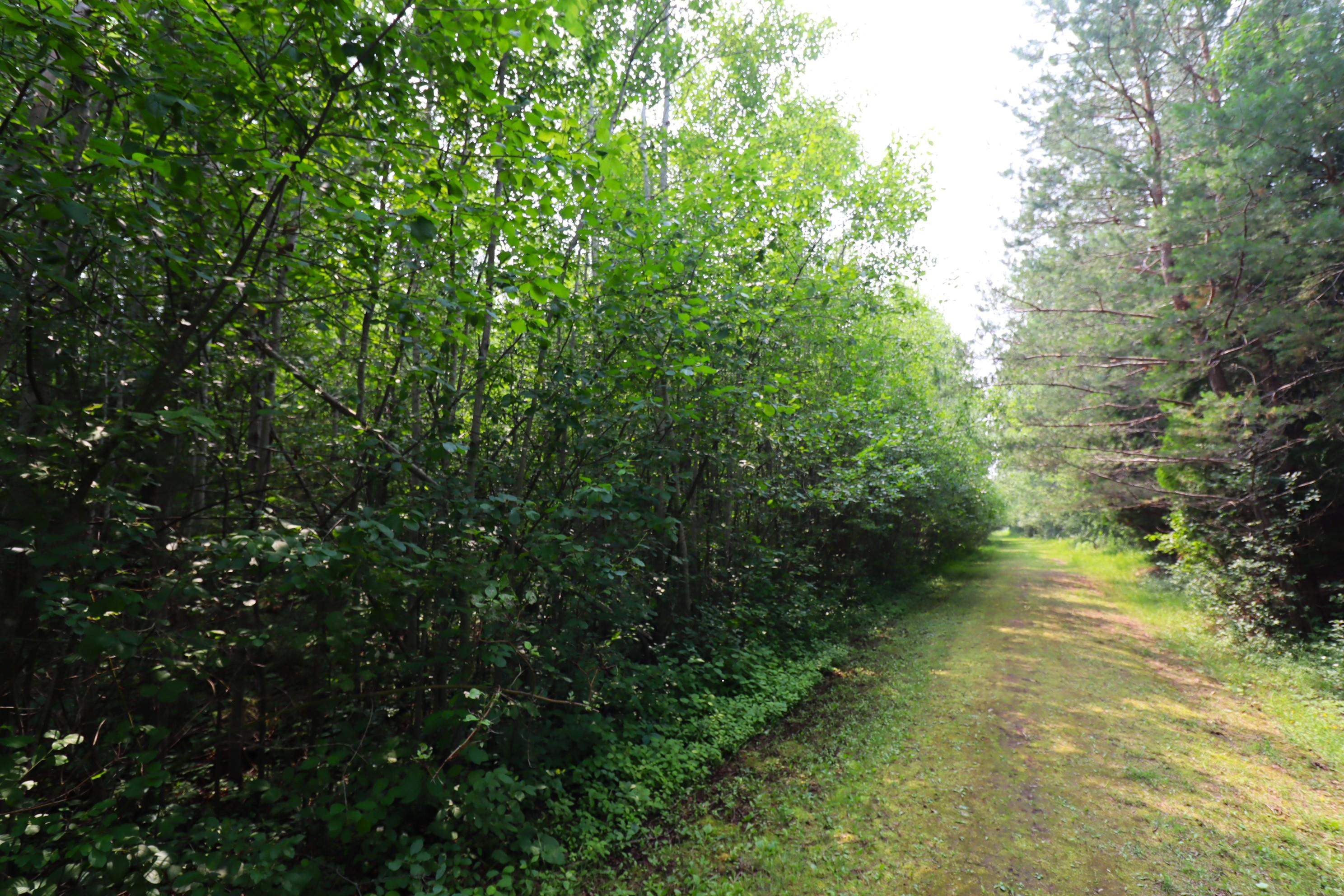 28-xx Junction Road Ashland, WI 54806 - Photo 6 of 10