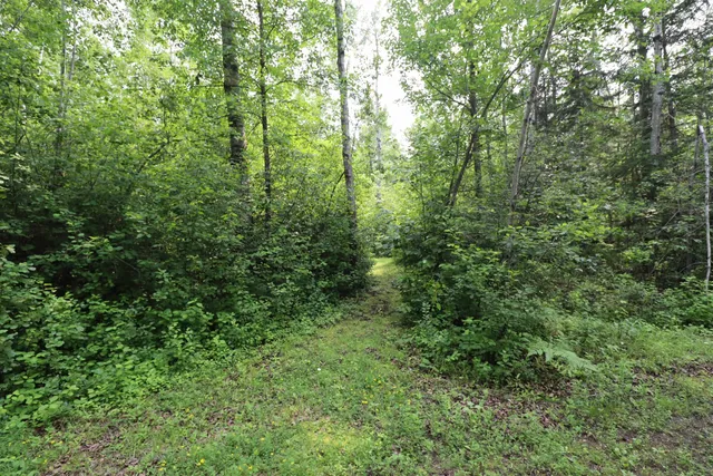 $59,900 | 28-xx Junction Road, Ashland, WI 54806