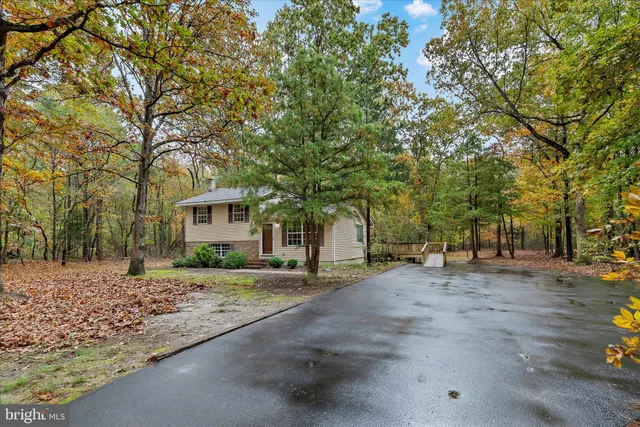 a row of palm trees in front of a house