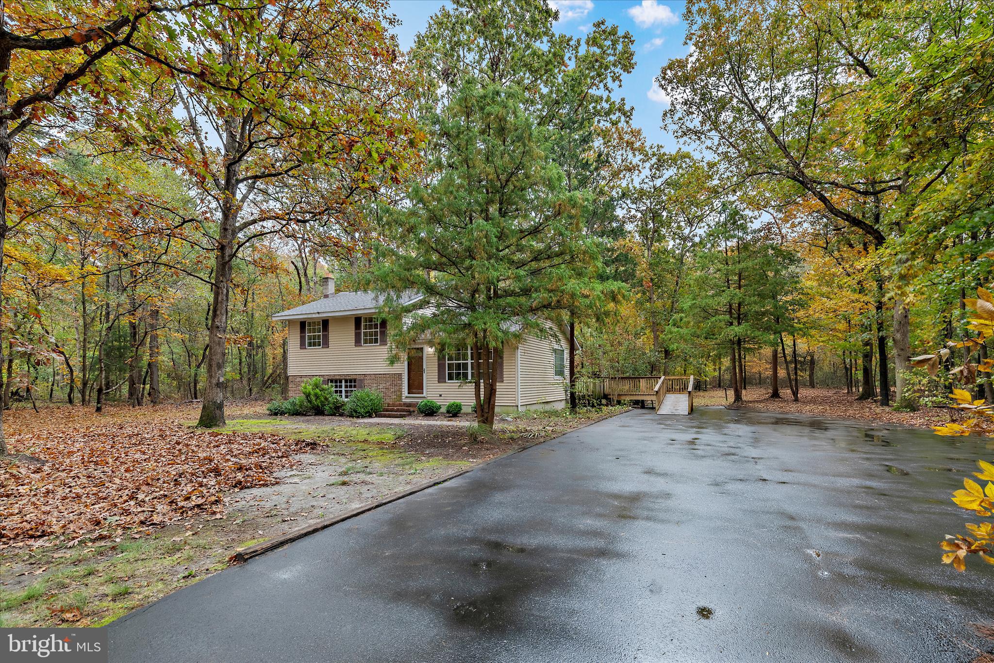31703 Hickory Manor Road Frankford, DE 19945 - Photo 2 of 49 a row of palm trees in front of a house