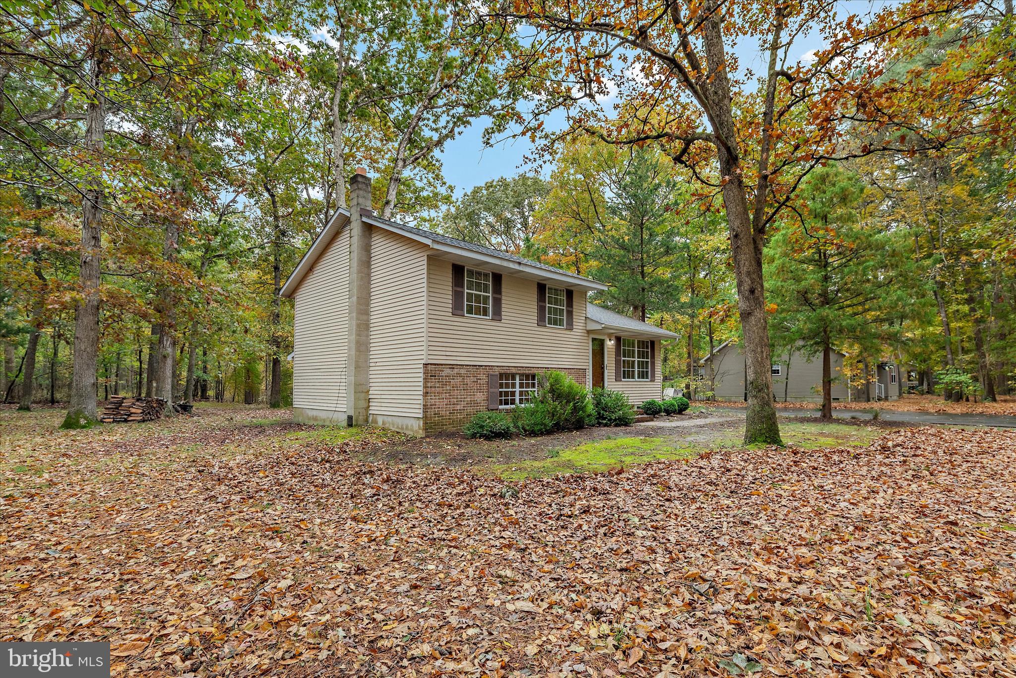 31703 Hickory Manor Road Frankford, DE 19945 - Photo 3 of 49 a house that has a tree in front of it