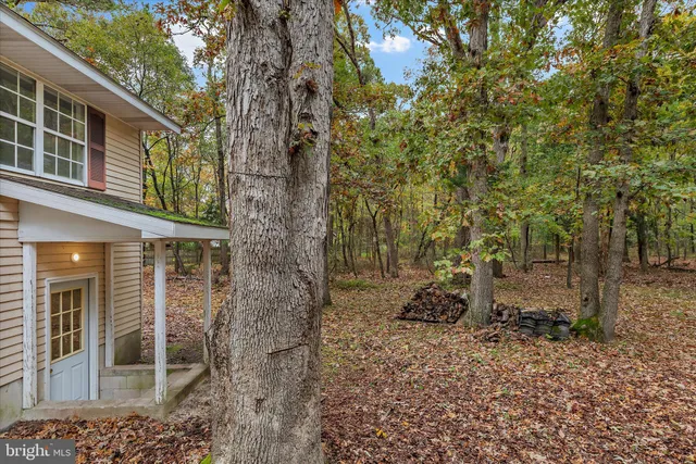 a backyard of a house with lots of green space