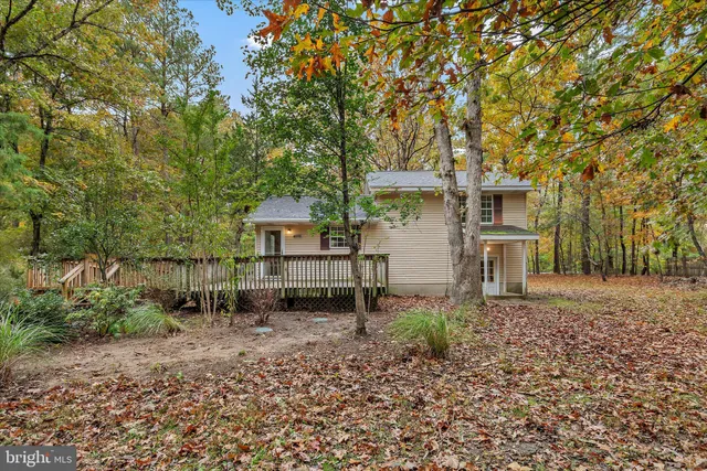 a view of a forest with trees in the background