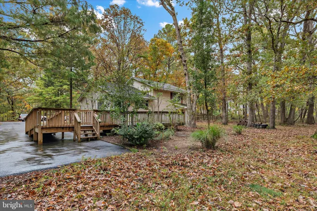 a row of palm trees in front of a house