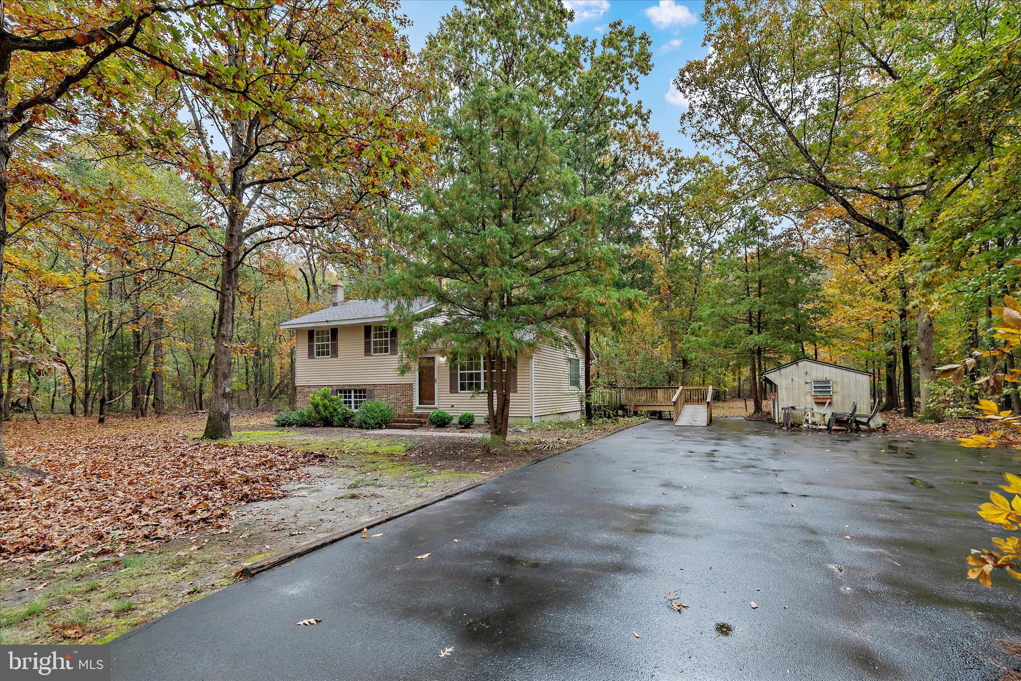 31703 Hickory Manor Road Frankford, DE 19945 - Photo 42 of 49 a row of palm trees in front of a house