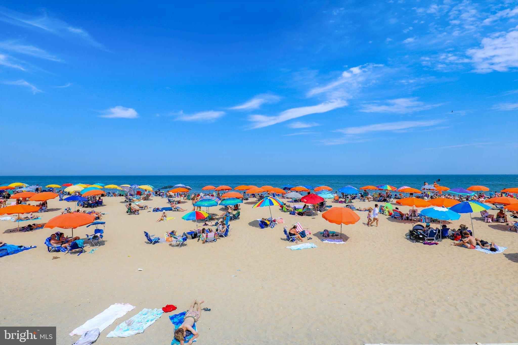 31703 Hickory Manor Road Frankford, DE 19945 - Photo 45 of 49