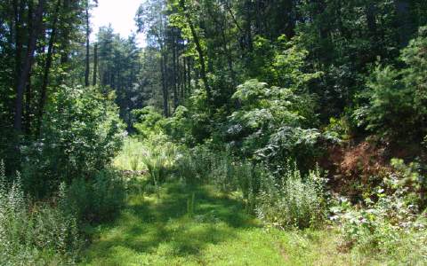 Hilltop Subdivision Blue Ridge Blue Ridge, GA 30513 - Photo 1 of 1 Main View