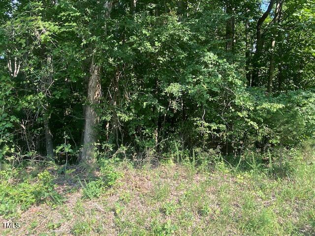 Lot 2 Uzzle Road Rougemont, NC 27572 - Photo 2 of 5 a view of outdoor space and green space