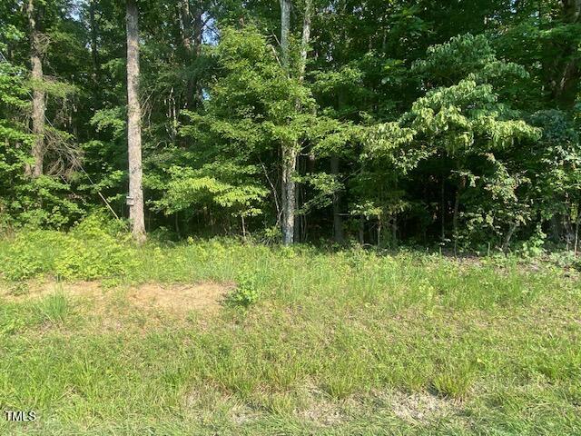 Lot 2 Uzzle Road Rougemont, NC 27572 - Photo 4 of 5 a view of a yard with plants and large trees