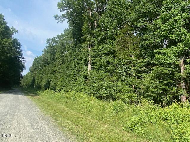 Lot 2 Uzzle Road Rougemont, NC 27572 - Photo 5 of 5 a view of a lush green space