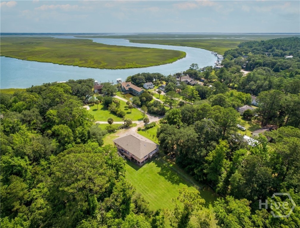 123 Oyster House Road Richmond Hill, GA 31324 - Photo 2 of 49 Grass Virtually Enhanced