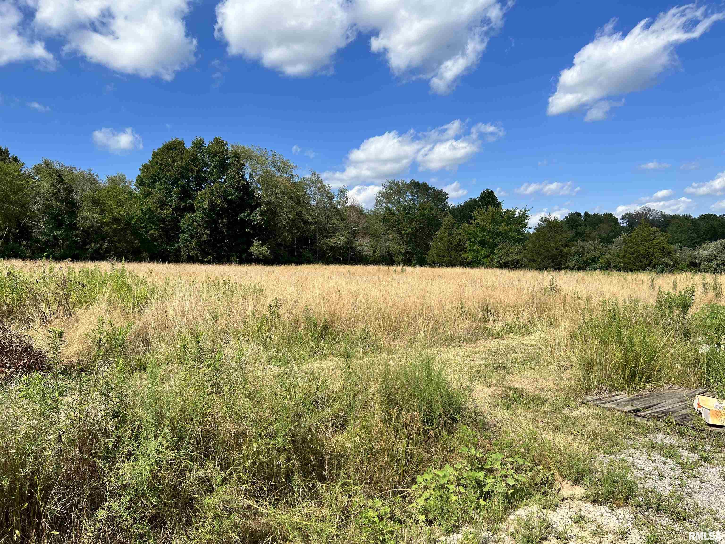14396 East Beal Road Texico, IL 62889 - Photo 8 of 37 Gallery Image 8