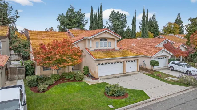 a view of a house with a yard plants and a large tree