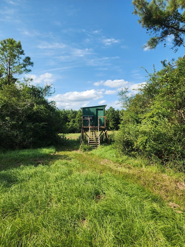 121 Molly Road Foxworth, MS 39483 - Photo 39 of 56 Gallery Image 39