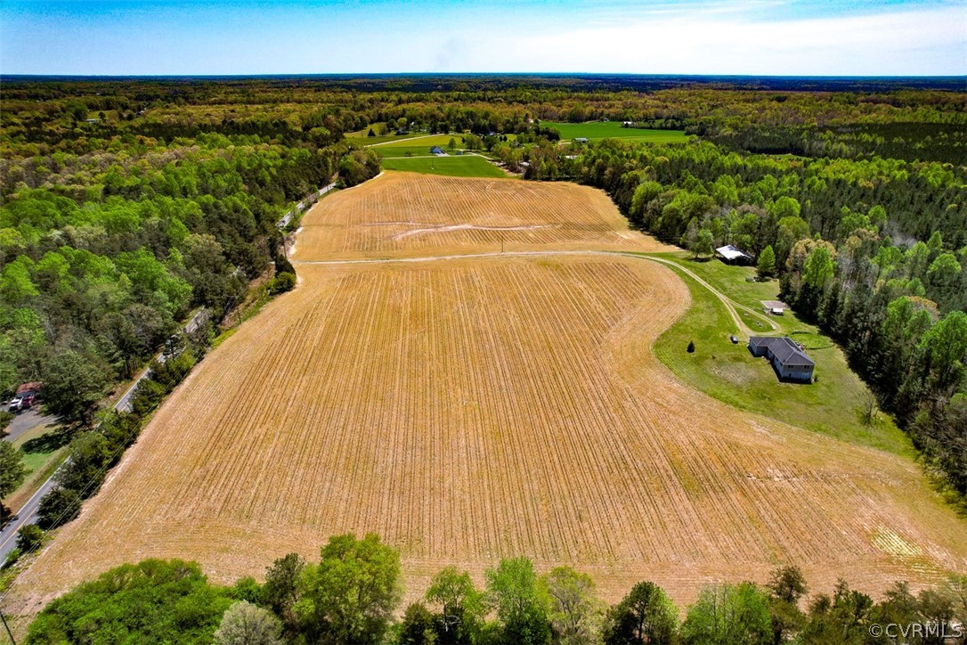 30.69-acres Sparta Road Milford, VA 22514 - Photo 4 of 34 Gallery Image 4