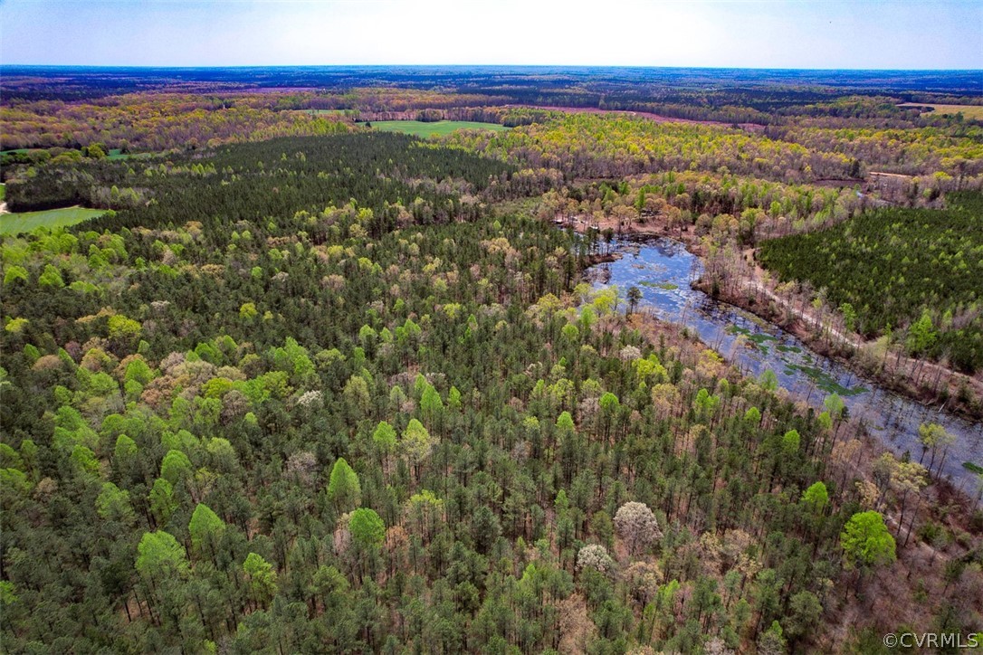 30.69-acres Sparta Road Milford, VA 22514 - Photo 7 of 34 Gallery Image 7