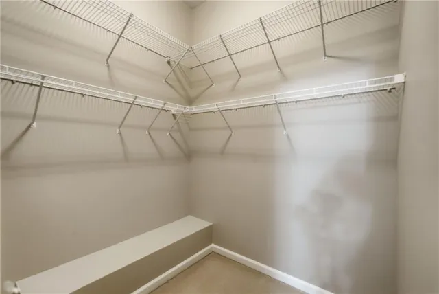 a bathroom with a shower and a toilet