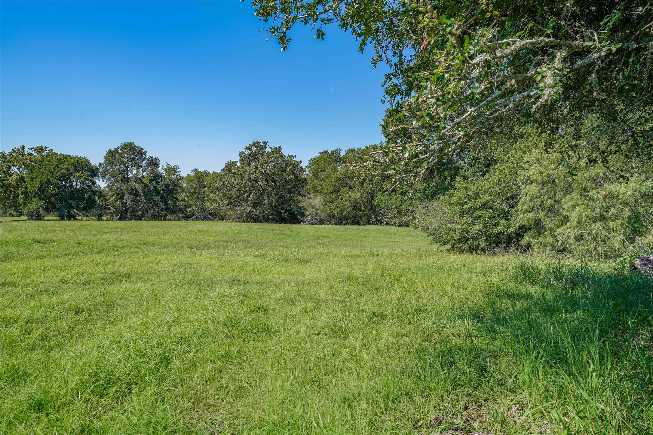 Tbd Warda Church Road Giddings, TX 78942 - Photo 26 of 29