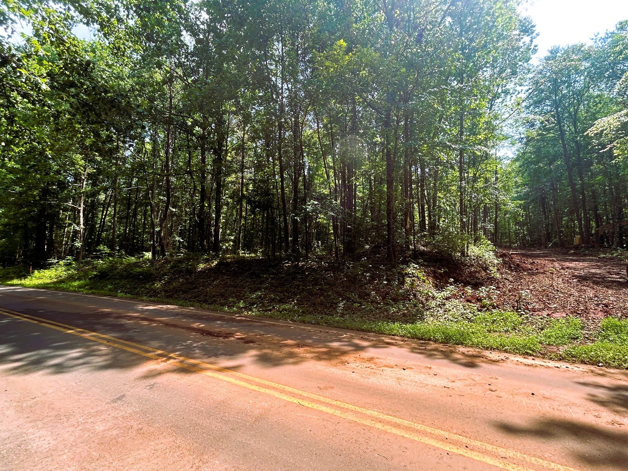 7 Pleasant Hill Road Ten Mile, TN 37880 - Photo 4 of 8 Level roadfront