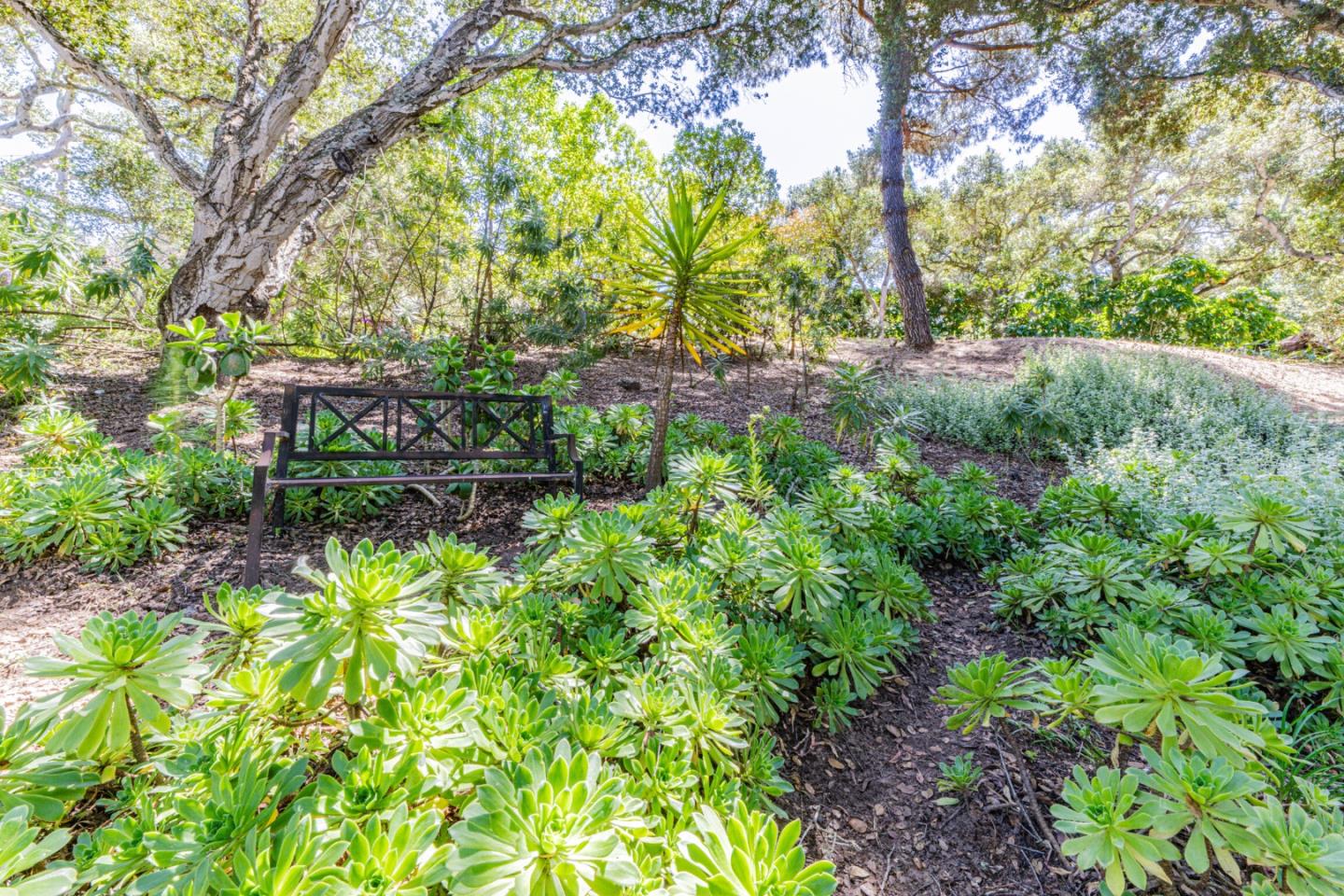 17848 Berta Canyon Road Salinas, CA 93907 - Photo 12 of 40