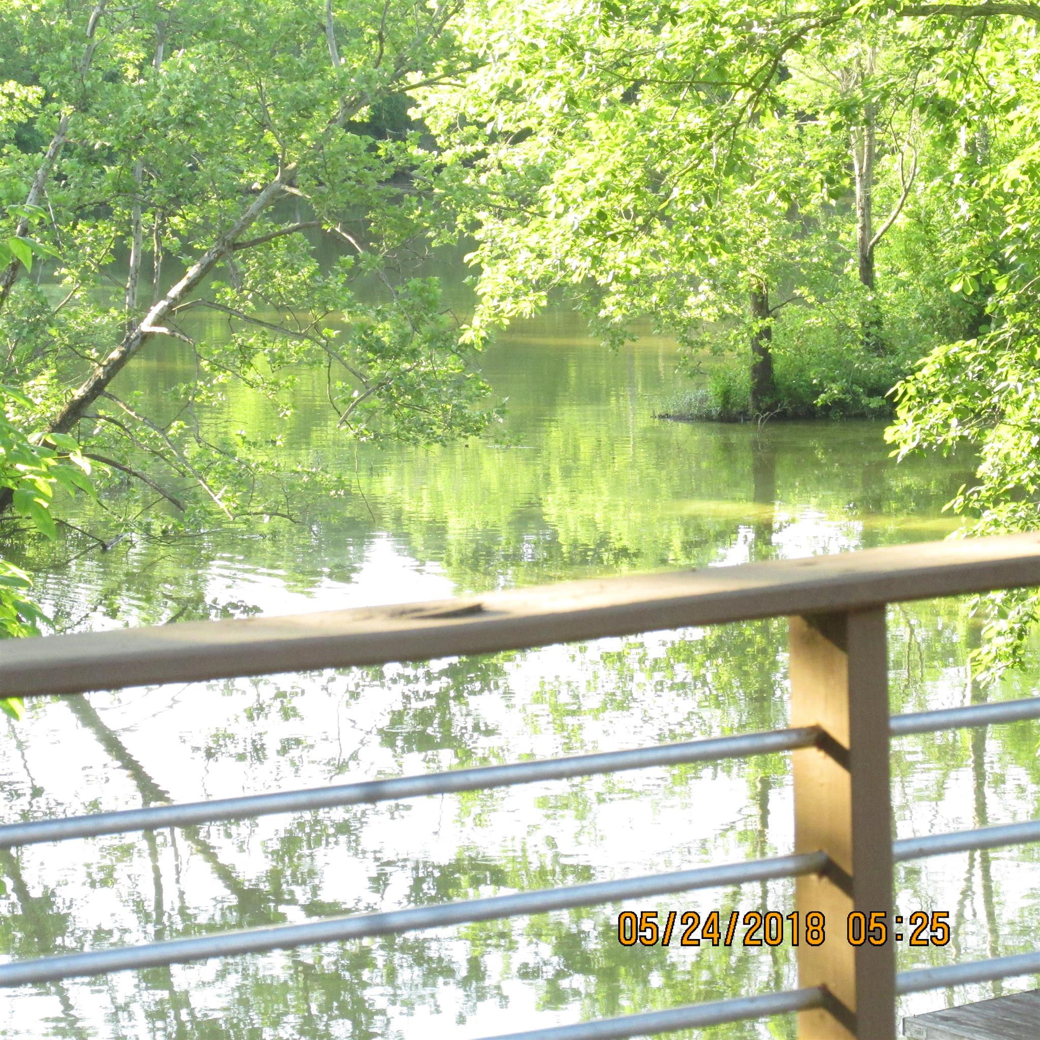200 Breeze Inn Road Castalian Springs, TN 37031 - Photo 3 of 17 BEAUTIFUL AND VERY PEACEFUL