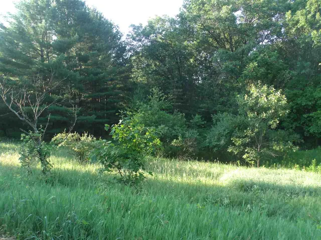 $29,900 | L4 Oak, Montello, WI 53949