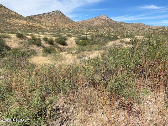 36 Acres Douglas Az 85607 Douglas, AZ 85607 - Photo 11 of 29