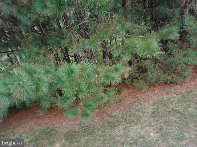 $425,000 | 47286 Shelby Leigh Court, Lexington Park, MD 20653