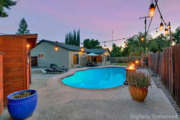 a view of a backyard with plants and a fountain