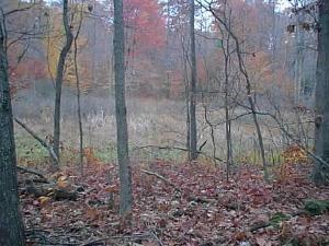 Gale Road, Unit PAR A Hesperia, MI 49421 - Photo 3 of 3 Additional Photo